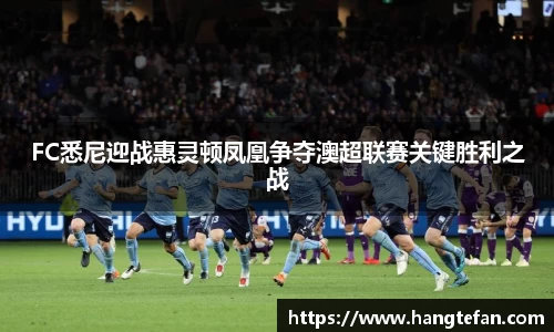 FC悉尼迎战惠灵顿凤凰争夺澳超联赛关键胜利之战